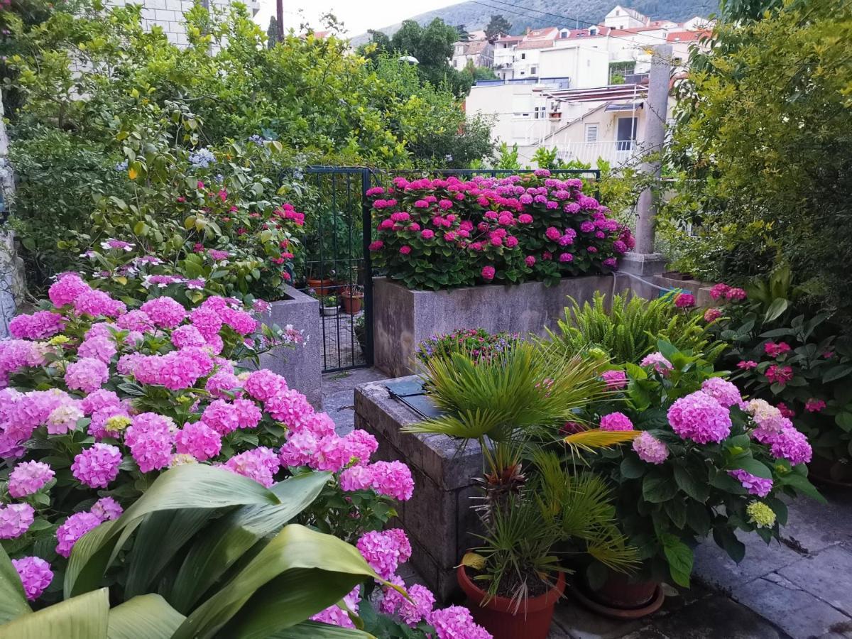 Apartments Sensa Dubrovnik Extérieur photo