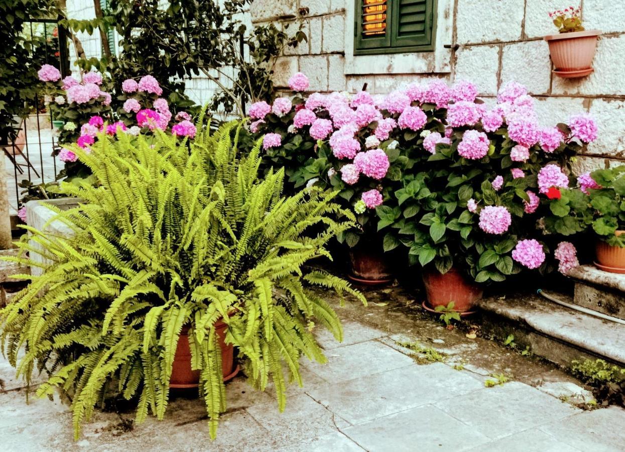 Apartments Sensa Dubrovnik Extérieur photo
